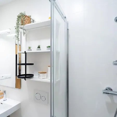 Cosy Koliste 25 布尔诺